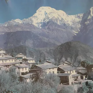 Mount Annapurna Guest house